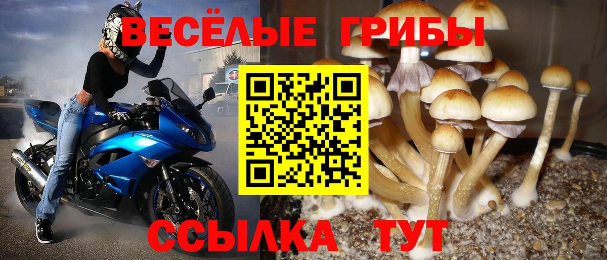 Галлюциногенные грибы прущие грибы Мытищи