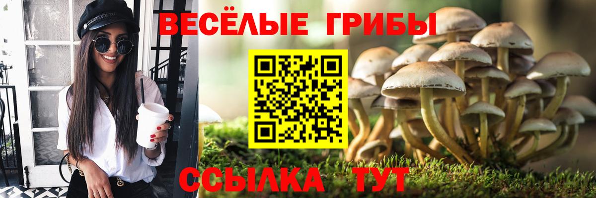 Галлюциногенные грибы MAGIC MUSHROOMS  Вход с VPN  Мытищи 